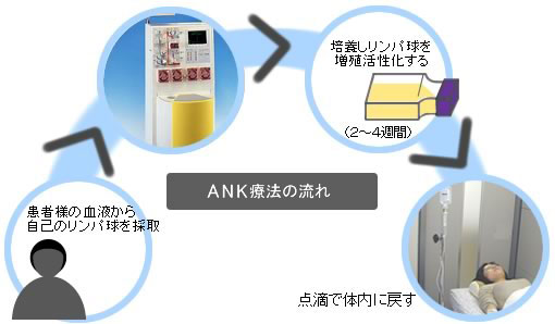 がん免疫治療の面談から治療まで