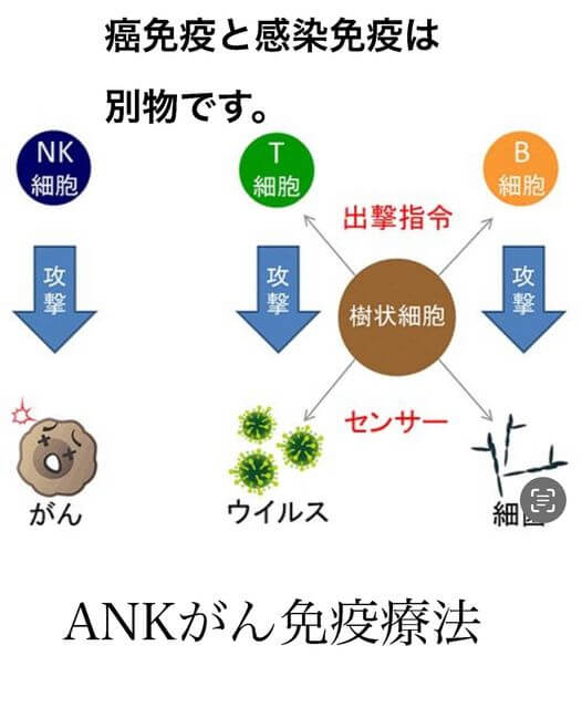 抗癌剤、放射線の効かない癌