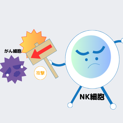 NK細胞の主な機能は癌細胞を迅速に認識し攻撃する